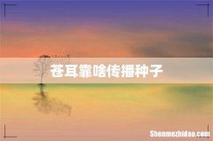 苍耳靠啥传播种子