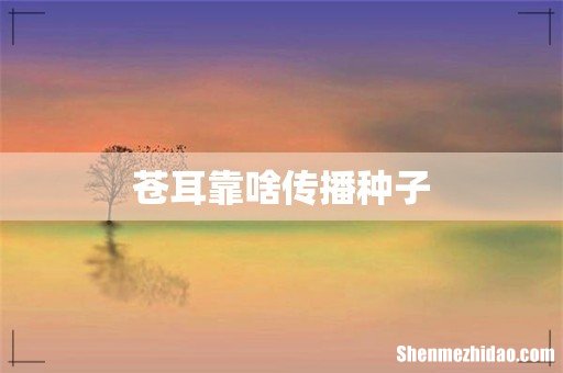 苍耳靠啥传播种子