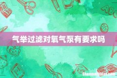 气举过滤对氧气泵有要求吗