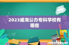 2023威海公办专科学校有哪些