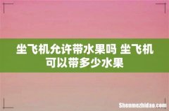 坐飞机允许带水果吗 坐飞机可以带多少水果