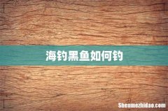 海钓黑鱼如何钓