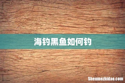 海钓黑鱼如何钓