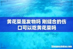 黄花菜是发物吗 刚缝合的伤口可以吃黄花菜吗