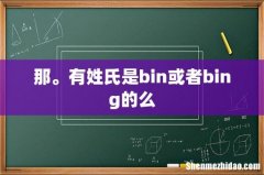 那。有姓氏是bin或者bing的么