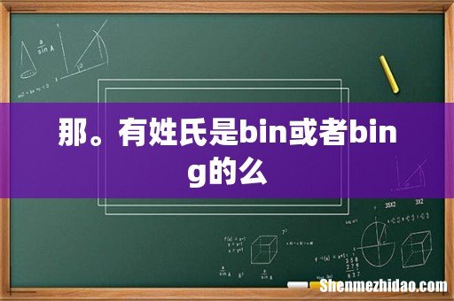 那。有姓氏是bin或者bing的么