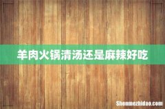 羊肉火锅清汤还是麻辣好吃