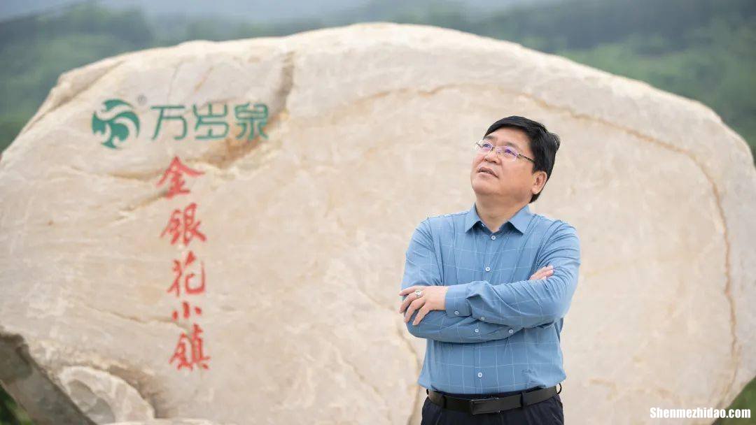 野生小板栗煮多久