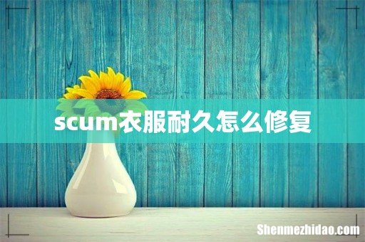 scum衣服耐久怎么修复