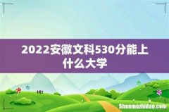 2022安徽文科530分能上什么大学
