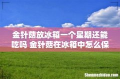 金针菇放冰箱一个星期还能吃吗 金针菇在冰箱中怎么保存