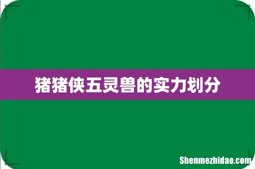 猪猪侠五灵兽的实力划分