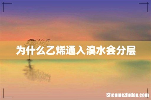 为什么乙烯通入溴水会分层