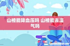 山楂能降血压吗 山楂能去湿气吗