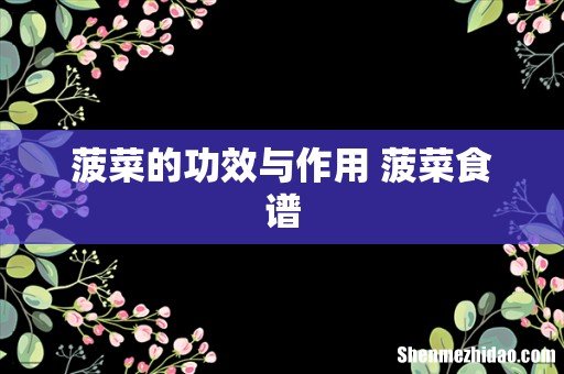 菠菜的功效与作用 菠菜食谱