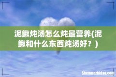 泥鳅和什么东西炖汤好？ 泥鳅炖汤怎么炖最营养