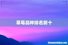 草莓品种排名前十