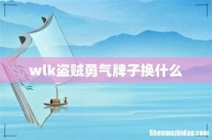 wlk盗贼勇气牌子换什么