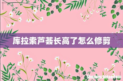 库拉索芦荟长高了怎么修剪