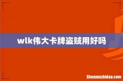 wlk伟大卡牌盗贼用好吗