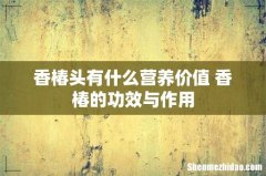 香椿头有什么营养价值 香椿的功效与作用