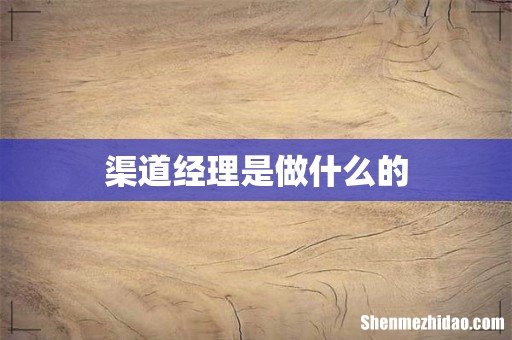 渠道经理是做什么的