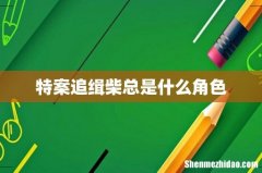 特案追缉柴总是什么角色