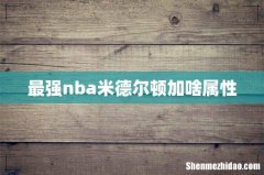 最强nba米德尔顿加啥属性