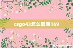 csgo43怎么调回169