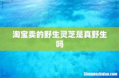 淘宝卖的野生灵芝是真野生吗