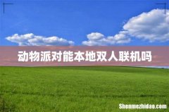 动物派对能本地双人联机吗