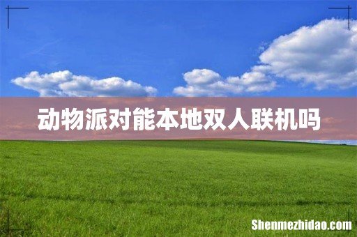 动物派对能本地双人联机吗