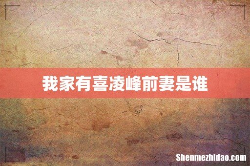 我家有喜凌峰前妻是谁