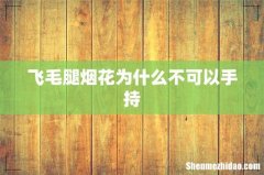 飞毛腿烟花为什么不可以手持