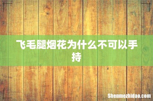 飞毛腿烟花为什么不可以手持