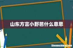 山东方言小野芭什么意思