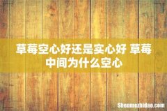 草莓空心好还是实心好 草莓中间为什么空心