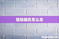 钮祜禄氏怎么念