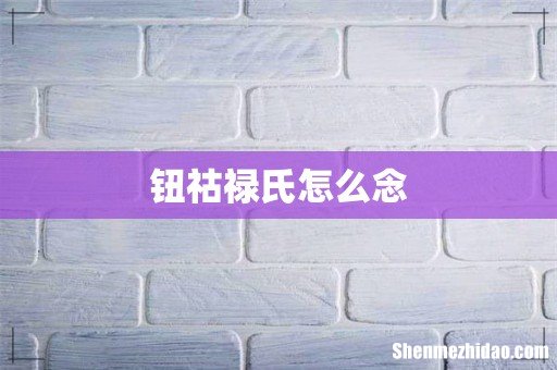钮祜禄氏怎么念