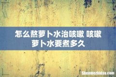 怎么熬萝卜水治咳嗽 咳嗽萝卜水要煮多久