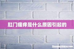 肛门瘙痒是什么原因引起的