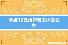 苹果12通话声音太小怎么办