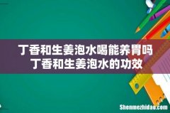 丁香和生姜泡水喝能养胃吗 丁香和生姜泡水的功效