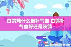 白鸽炖什么最补气血 白鸽补气血好还是灰鸽