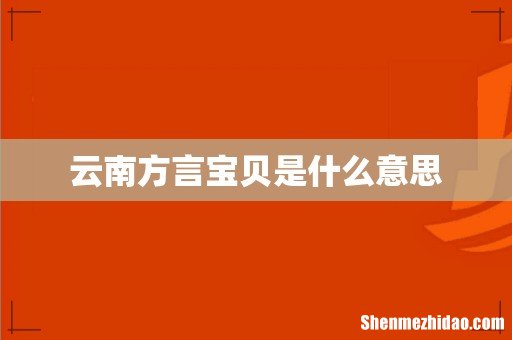 云南方言宝贝是什么意思