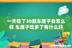 一天吃了30颗车厘子会怎么样 车厘子吃多了有什么坏处