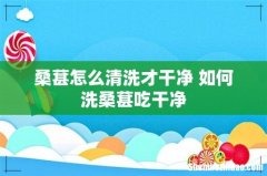 桑葚怎么清洗才干净 如何洗桑葚吃干净