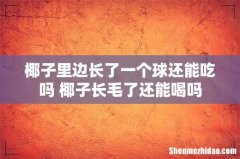 椰子里边长了一个球还能吃吗 椰子长毛了还能喝吗