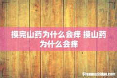 摸完山药为什么会痒 摸山药为什么会痒