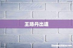 王珞丹出道